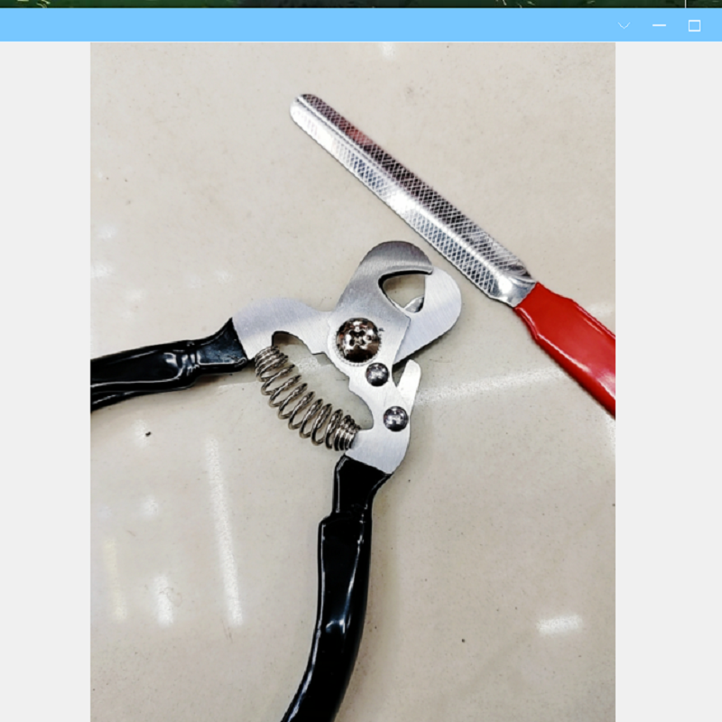 宠物剪/宠物美容清洁工具白底实物图