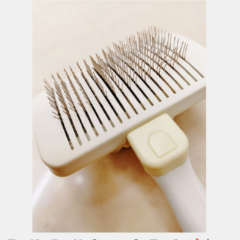 宠物梳/宠物美容清洁工具细节图