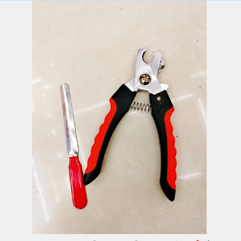 狗狗清洁美容工具实物图
