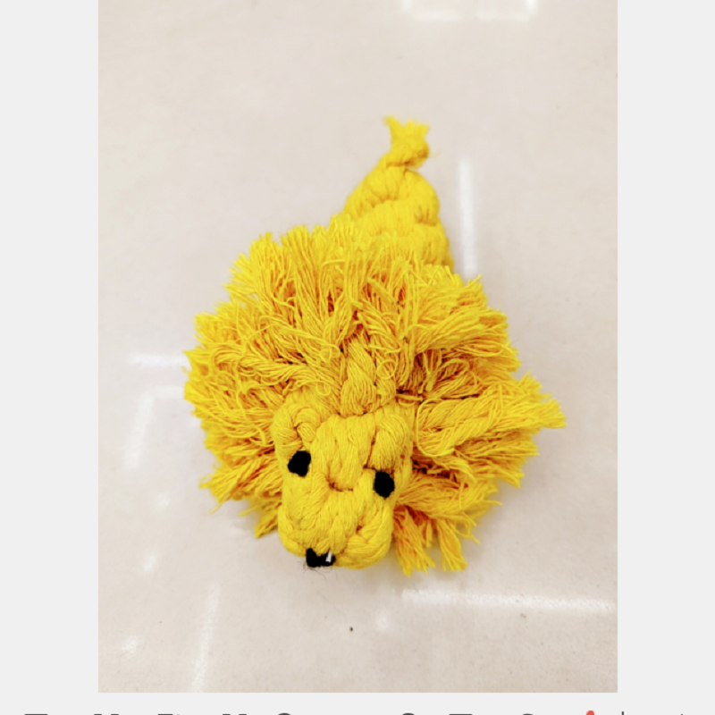 Juguete para mascotas cuerda de algodón tejido a mano juguete de león divertido juego roer juguete para mascotas Item Picture