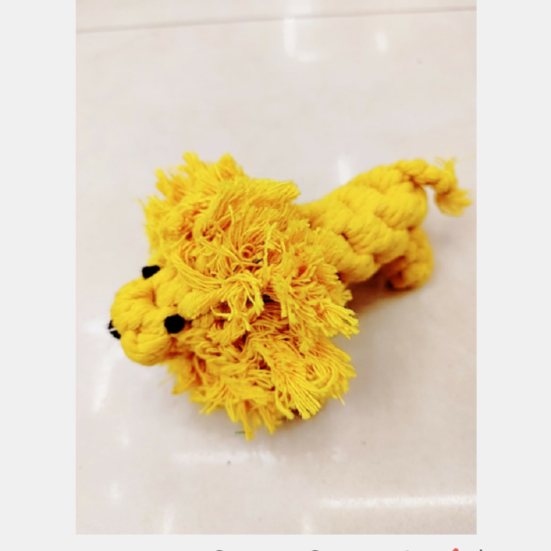 Juguete para mascotas cuerda de algodón tejido a mano juguete de león divertido juego roer juguete para mascotas details Picture