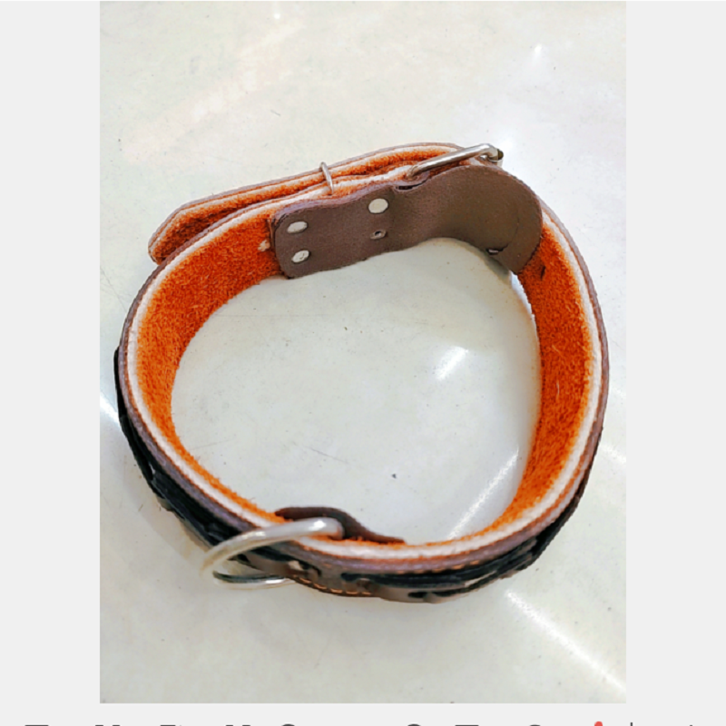 طوق صغير من طوق حيوان أليف طوله 4 سم يناسب الكلاب المتوسطة الحجم Item Picture
