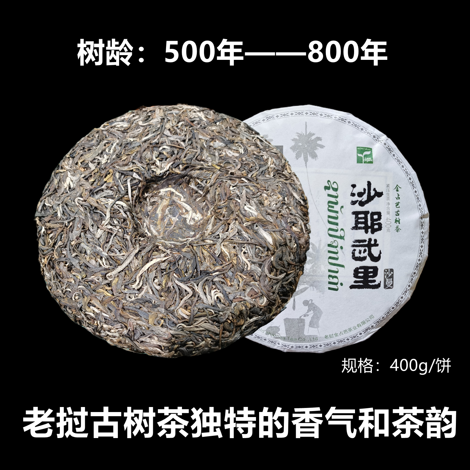 A 500-year-old tree in Sayaburi, Laos, weighs 400g details Picture