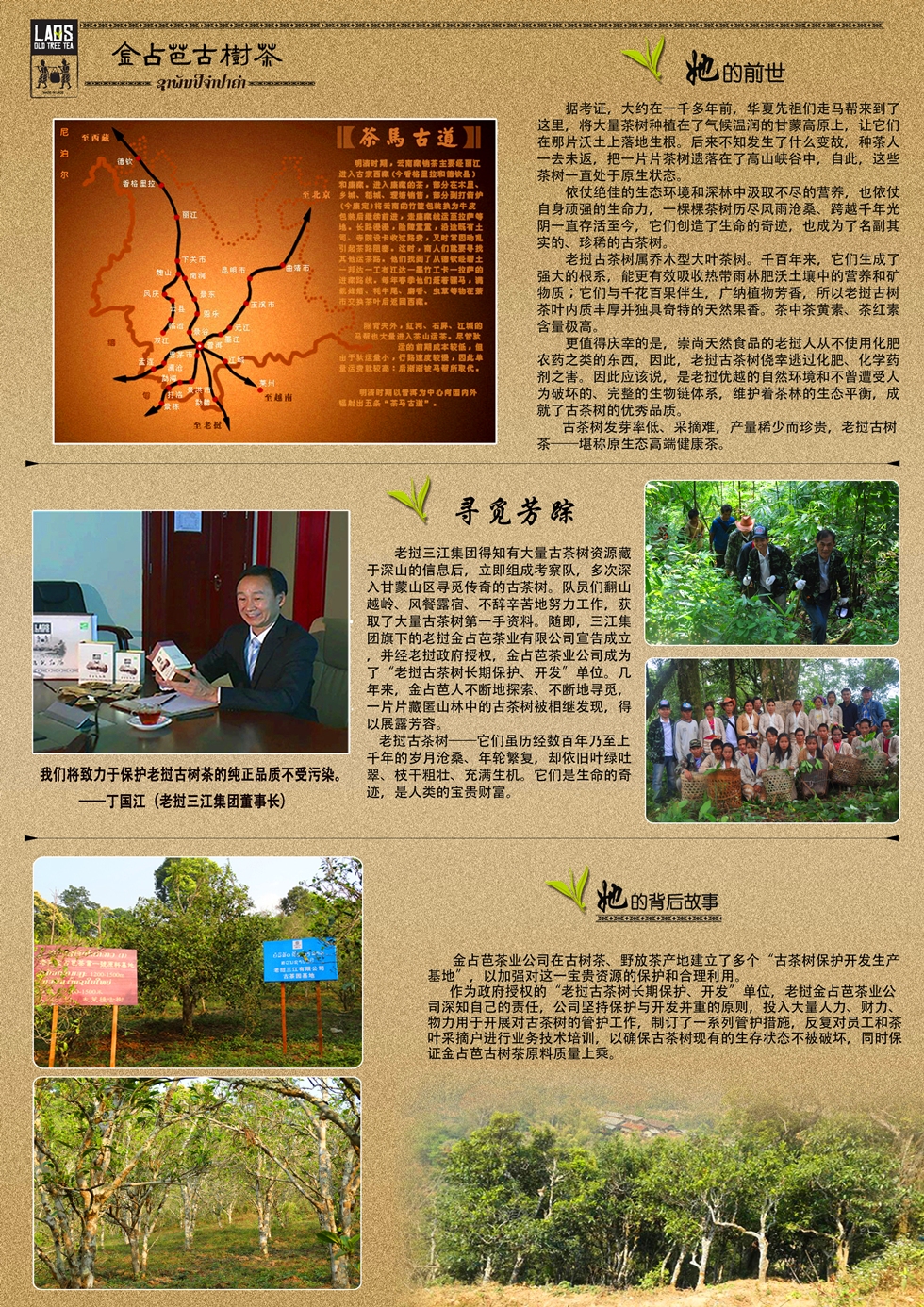 老挝金占芭300年古树生茶-凯旋门生普2014年详情2