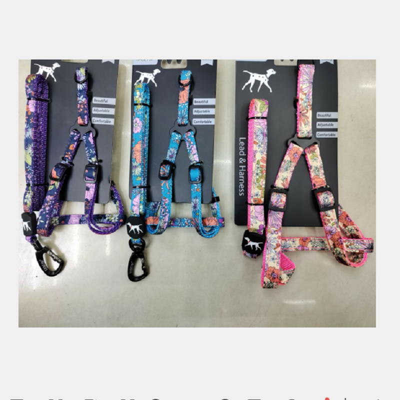Pet Leash Ocean Flower Leash + chest harness