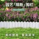 小围栏篱笆塑料花圃花园装饰庭院围挡土户外菜园花坛隔断园艺栏栅白底实物图