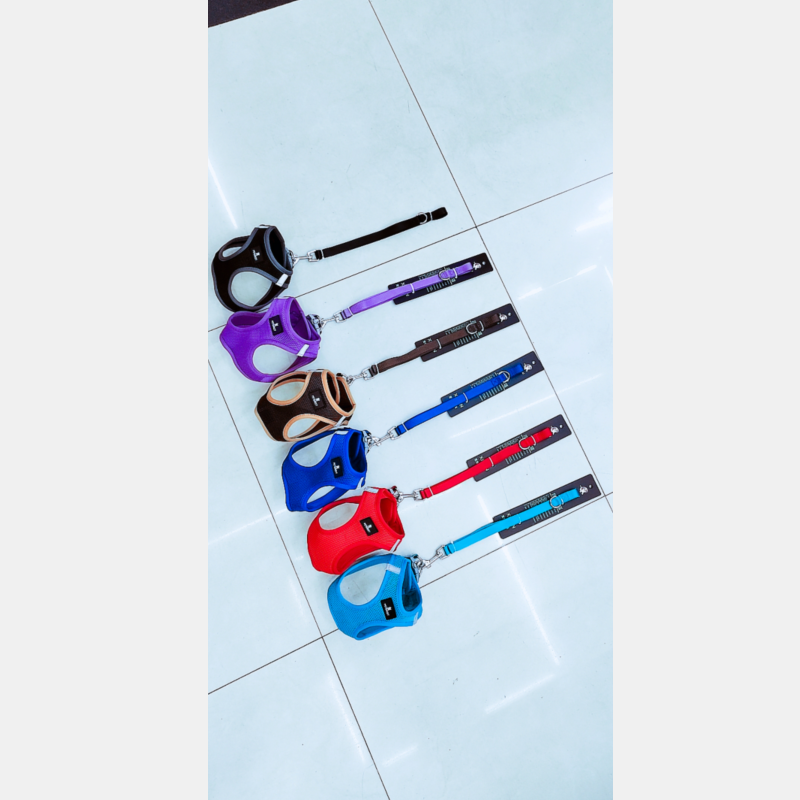 1.5 wide pet chest and back leash + suitable for small pets details Picture
