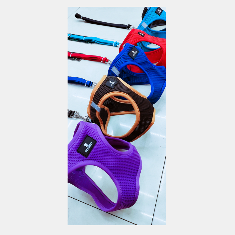 1.5 wide pet chest and back leash + suitable for small pets Item Picture