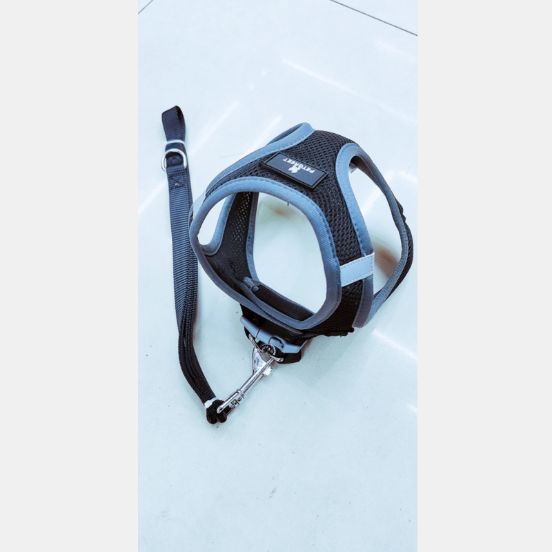 1.5 wide pet chest and back leash + suitable for small pets Specification image