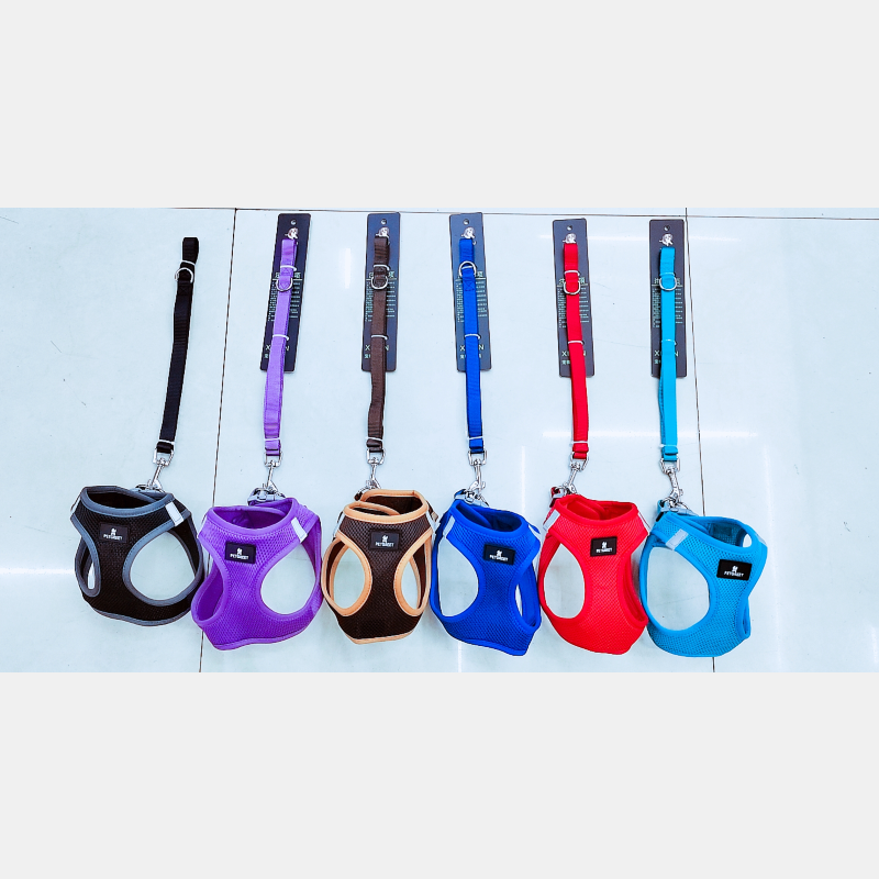 1.5 wide pet chest and back leash + suitable for small pets