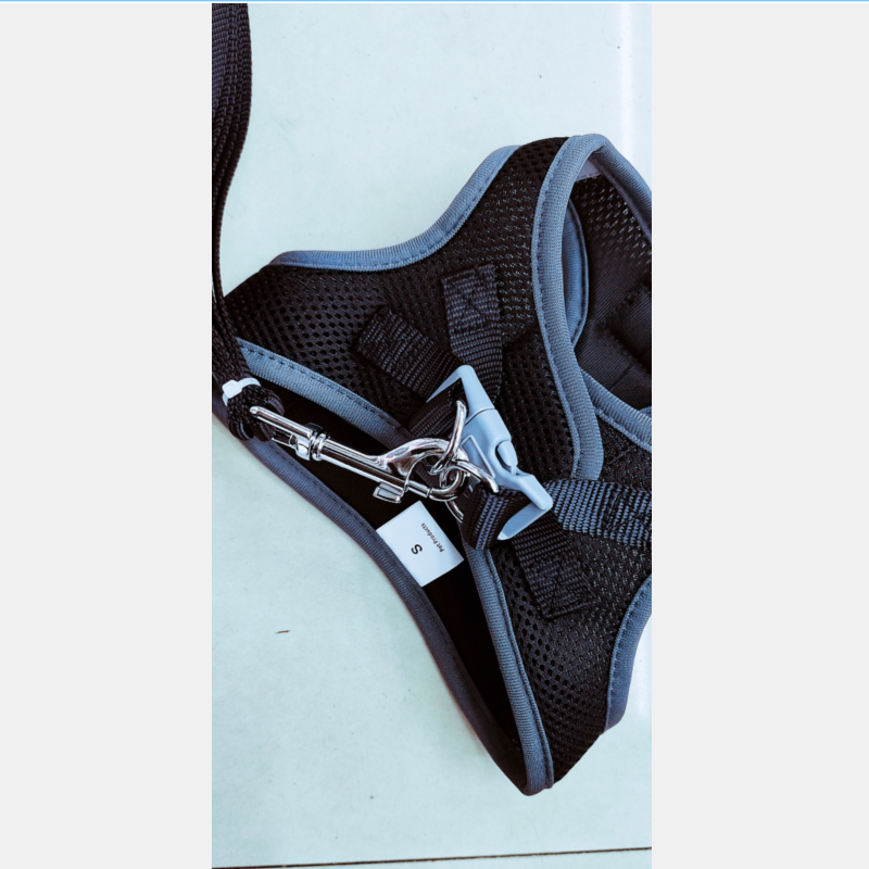 1.5 wide pet chest and back leash + suitable for small pets Application Scenario