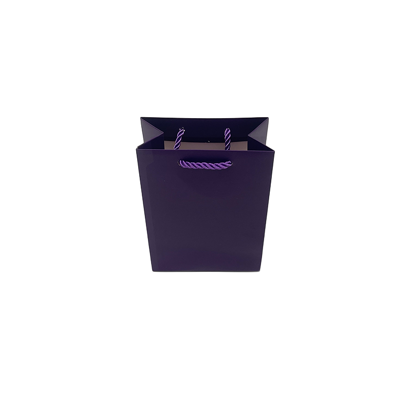 奇韵时尚简约礼品包装袋手提袋珠宝首饰生日礼物纸袋厂家批发详情12