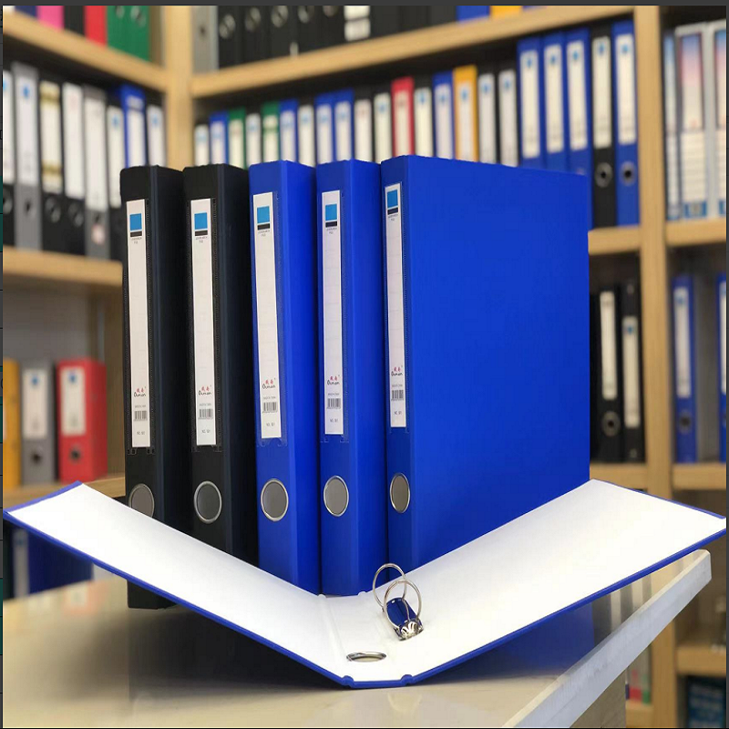 YL048-50312 Plastic file box File box Storage box Cadre personnel file financial voucher box file box
