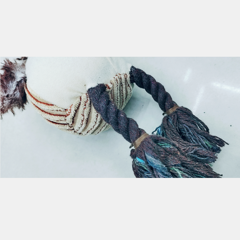 Pet toys, plush toys, cartoon plush cat and dog toys, cute plush toys, vocal toys Application Scenario