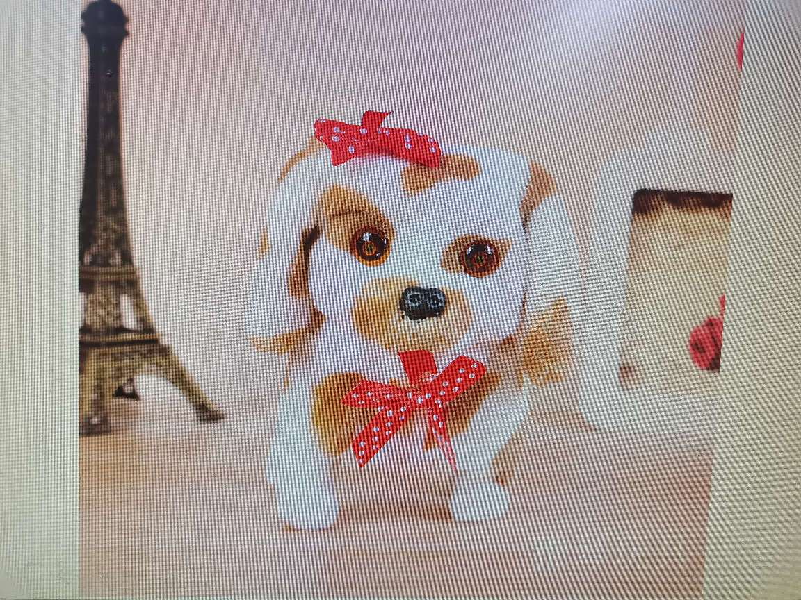 毛绒玩具电动儿童玩具斑点小狗眼睛带灯光带叫声摇尾巴地摊热卖厂家直销详情图3