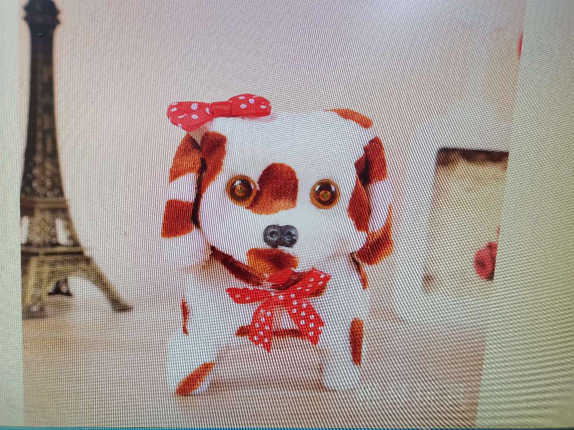 毛绒玩具电动儿童玩具斑点小狗眼睛带灯光带叫声摇尾巴地摊热卖厂家直销详情图2