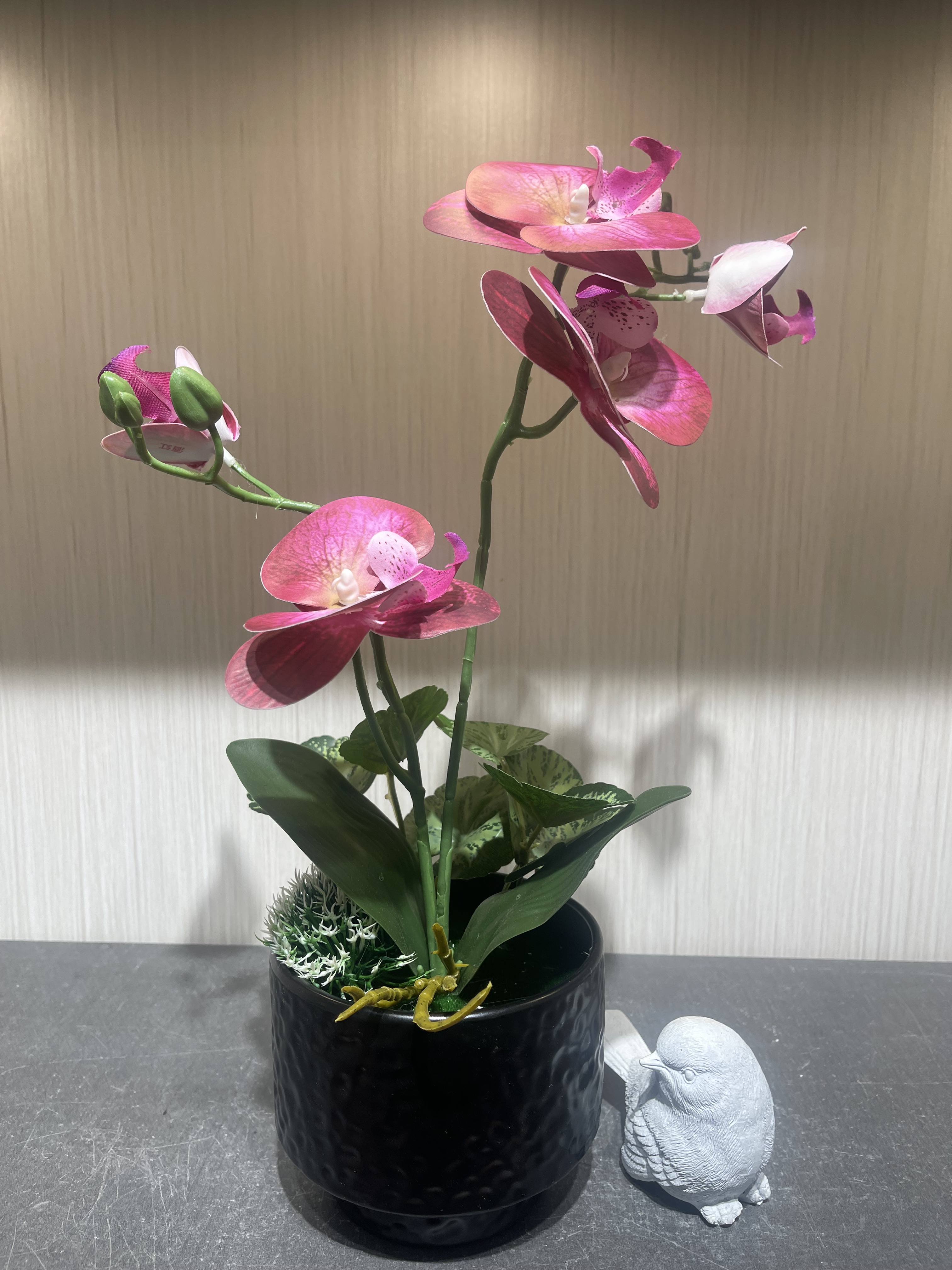 Yuhua stone potted flowers, plants and trees, children's DIY planting set, customized creative green plants