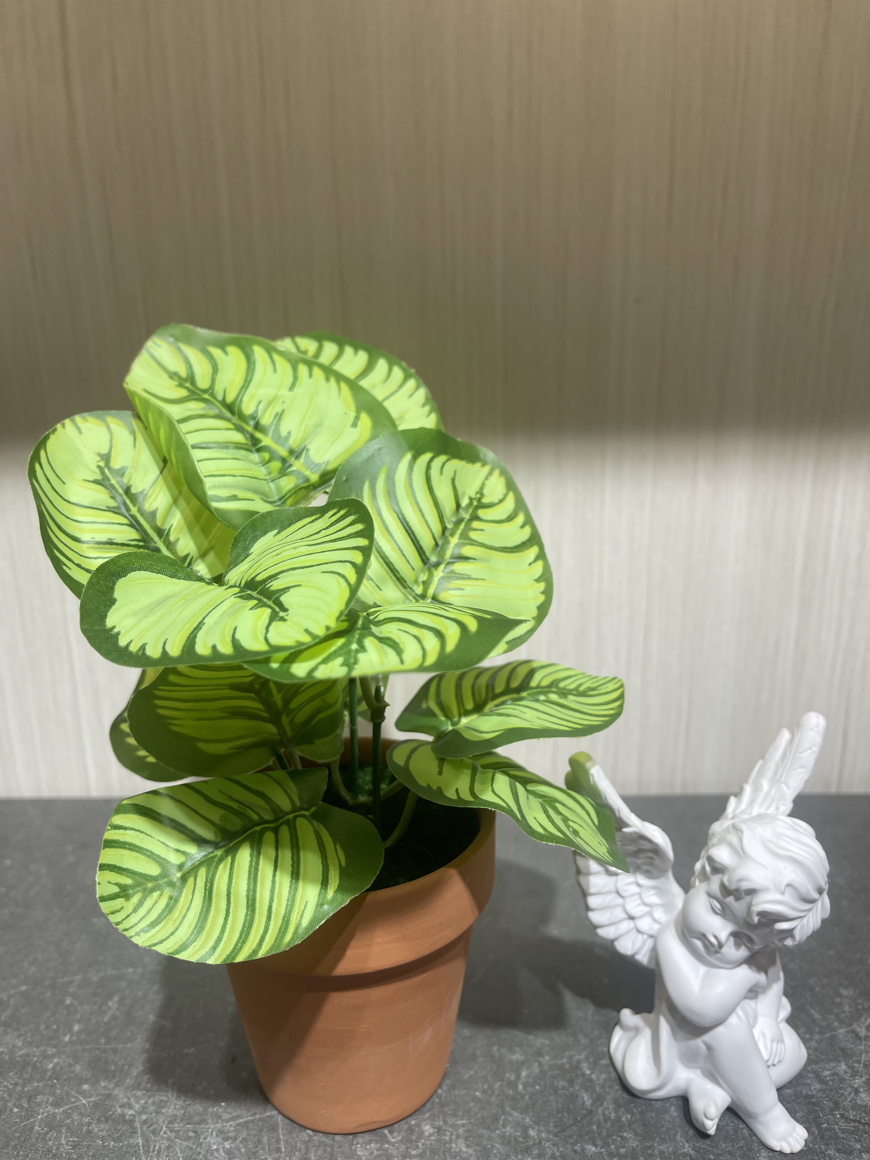 儿童种植盆栽定制 雨花石摆件 花草树木主题 盆栽装饰 环保绿色植物成长记忆