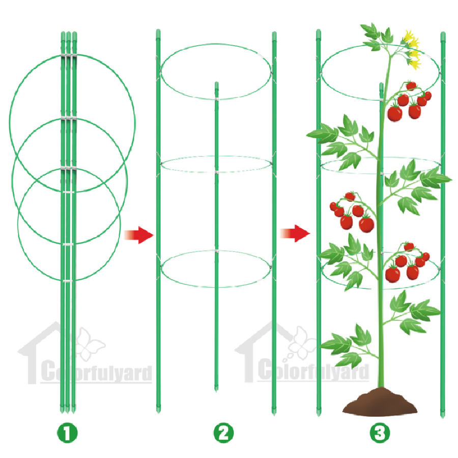 植物支架/园艺支架/树苗支架/攀爬架/爬藤支柱/GARDEN  STAKE详情6