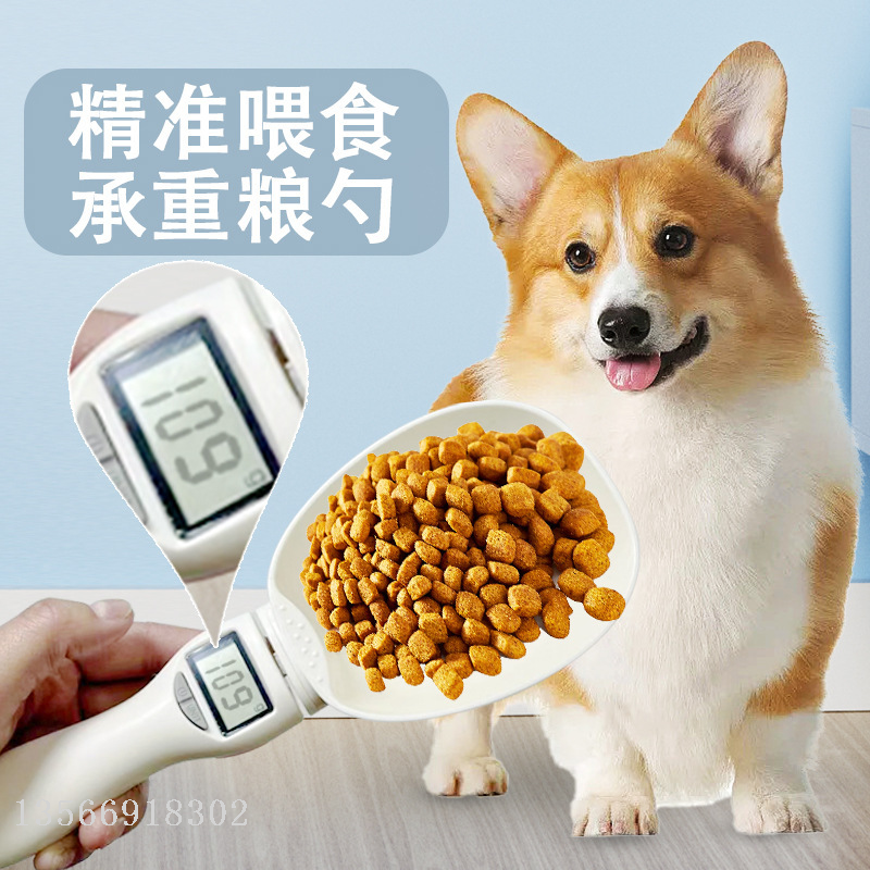 厨房秤实物图