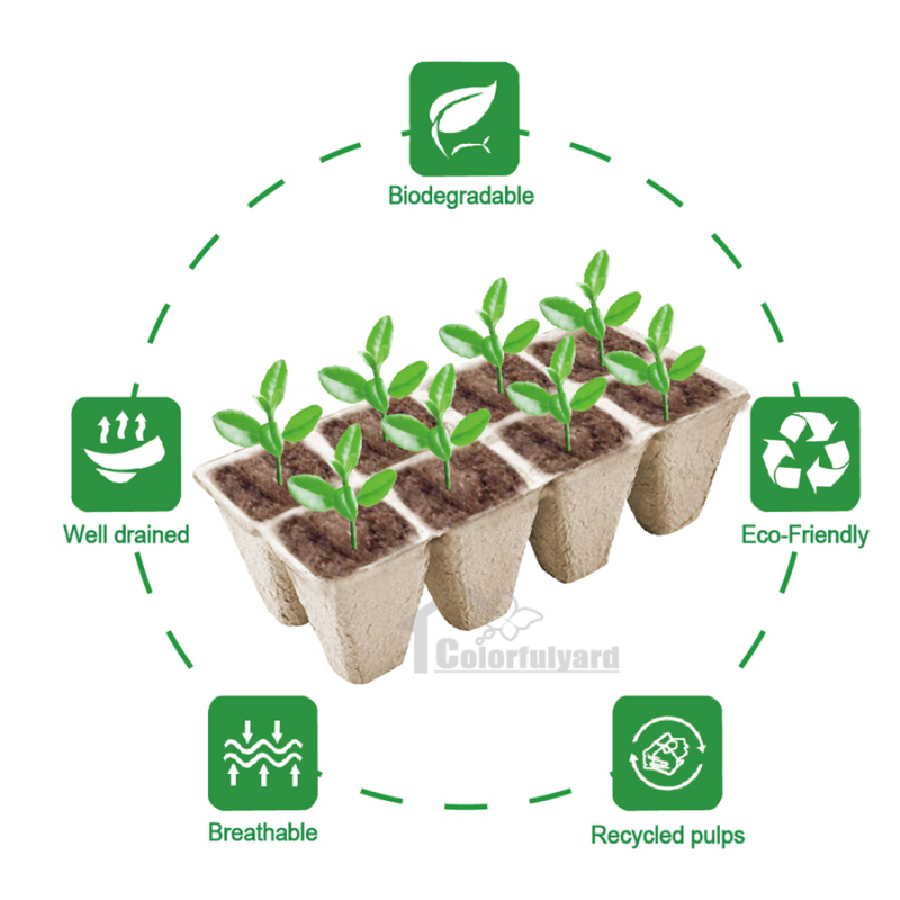 纸浆育苗杯/可降解纸浆杯/育苗盆/育苗盘/抛秧盘SEEDING TRAY详情4