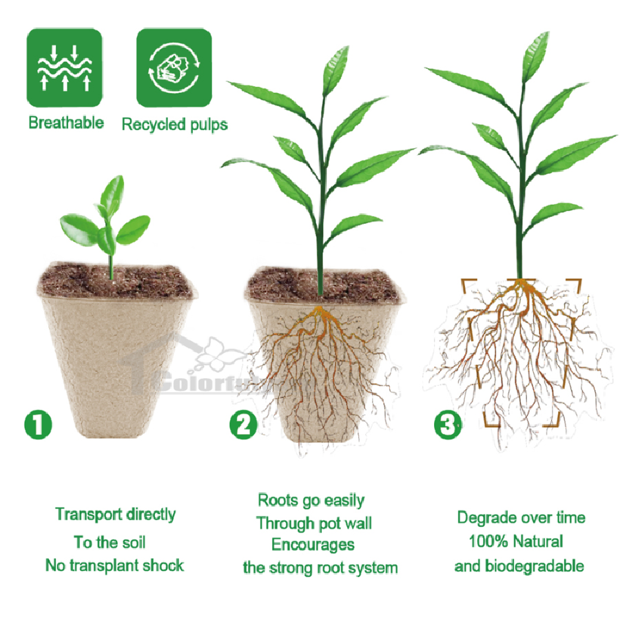 纸浆育苗杯/可降解纸浆杯/育苗盆/育苗盘/抛秧盘SEEDING TRAY详情6