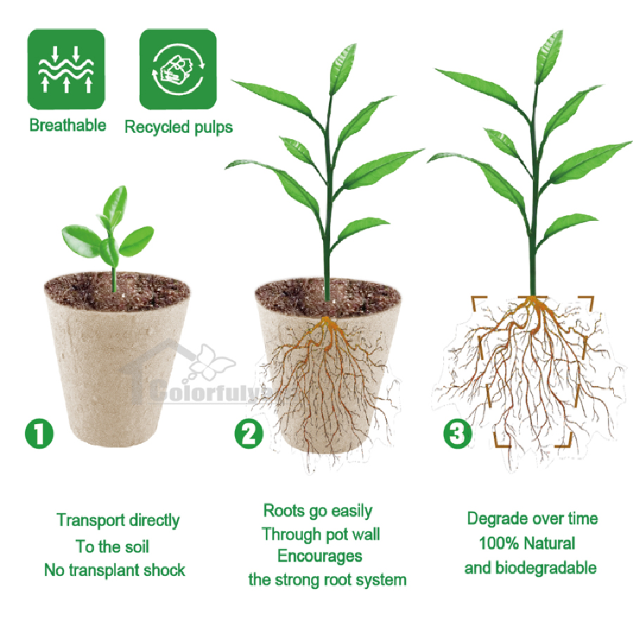 纸浆育苗杯/育苗盆/可降解纸浆杯/育苗盘/抛秧盘/SEEDING TRAY详情6