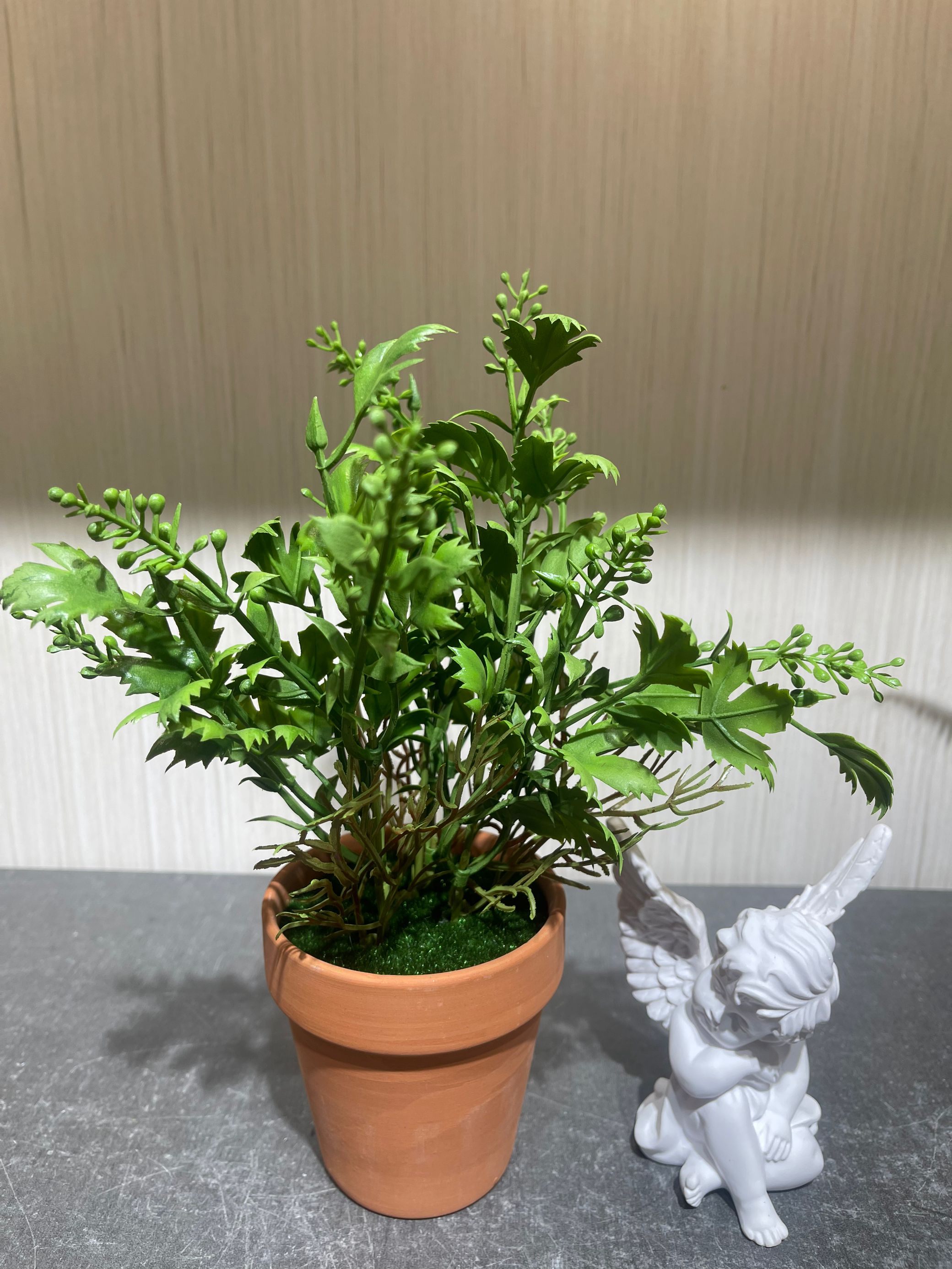 Yuhua stone small potted plants, stone art bonsai, natural stone decorative plants, indoor and outdoor green decoration small potted plants Specification image