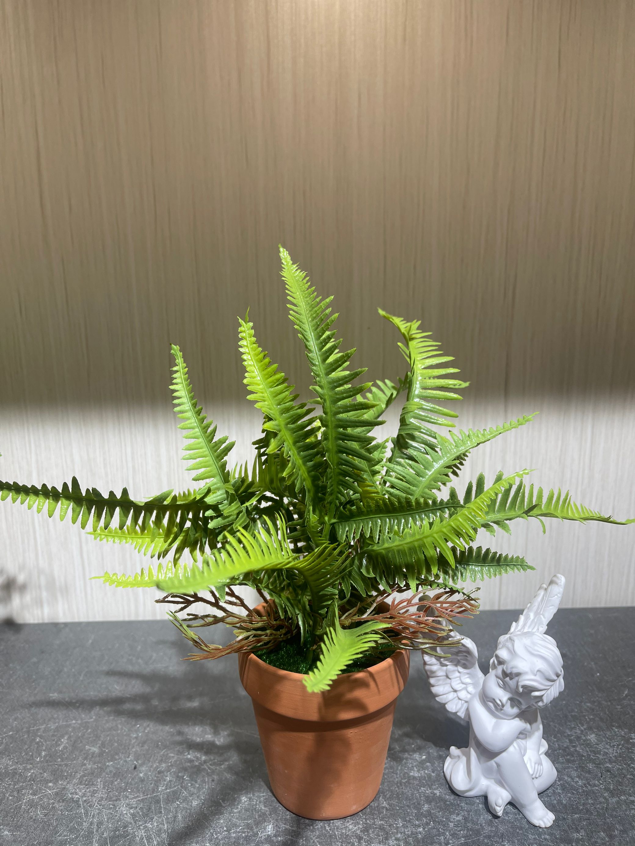 雨花石盆栽摆件 花草树木主题 儿童种植盆栽定制 绿色环保家居装饰品仿真绿植小盆栽