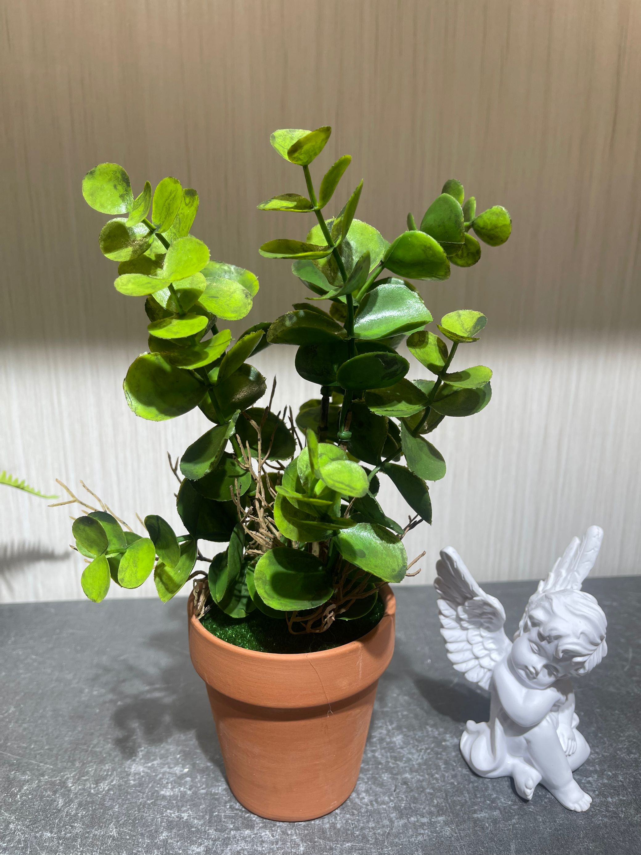 Yiwu quality products, 01 Pulp True succulent potted plants, fresh green plant home decoration items!! 104027 Potted plants Specification image