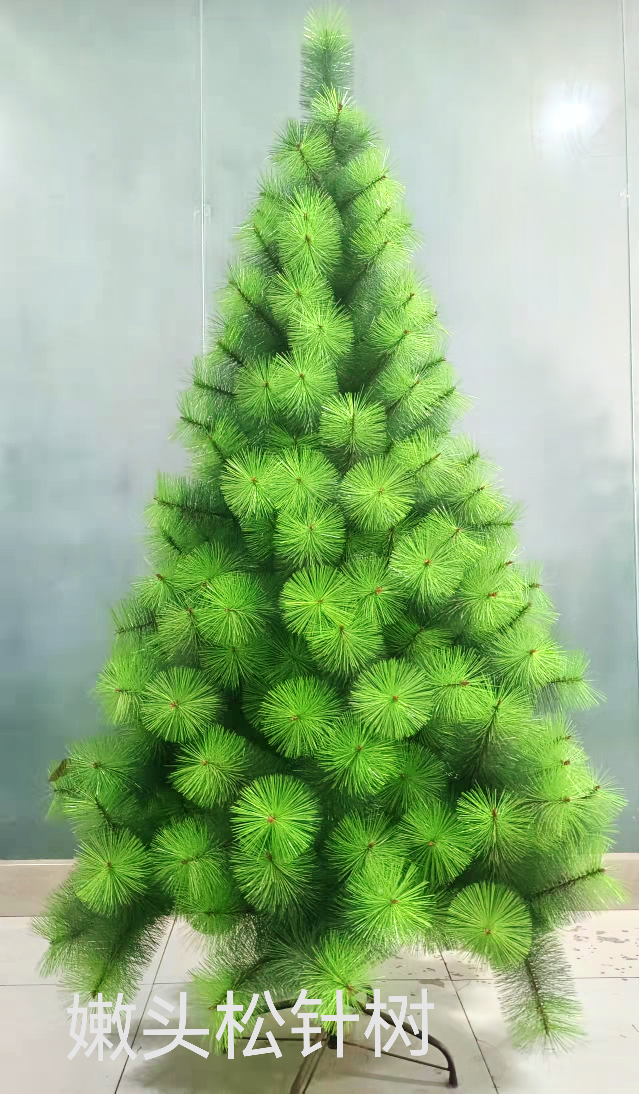 The young pine needle tree