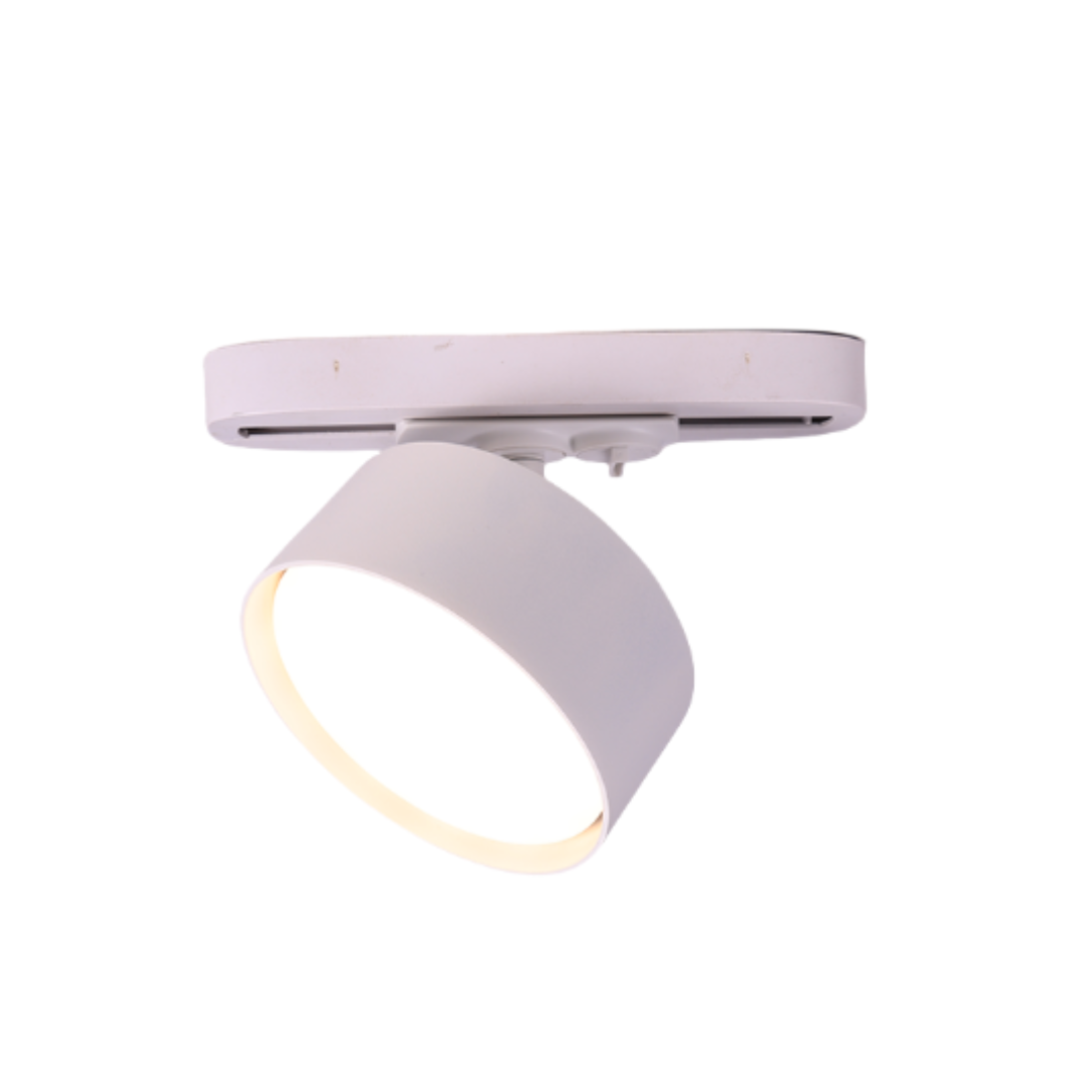 THD10 single-head track ceiling light Item Picture