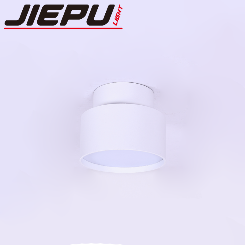 客厅灯/三防吸顶灯/吸顶灯/灯客厅/告白白底实物图