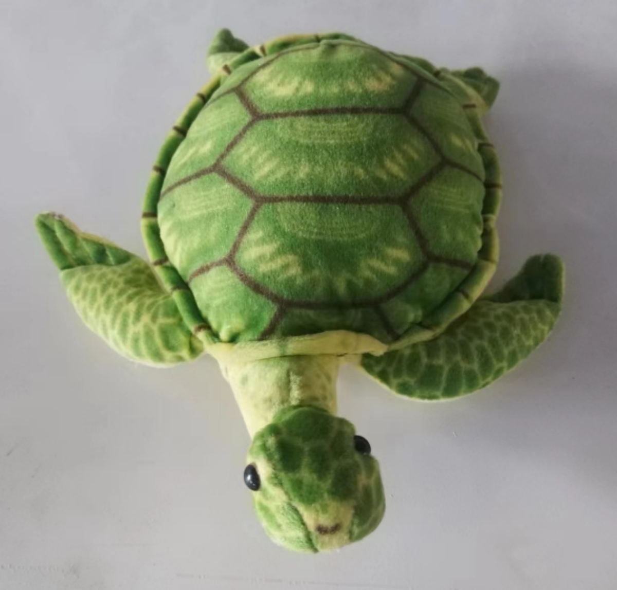The new plush toy is a realistic Brazilian land turtle Specification image