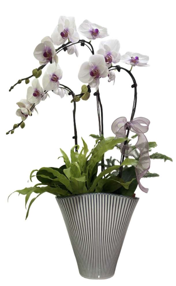 Premium ceramic flower POTS, handicrafts, ornaments, gifts, ceramic handicrafts, display artworks, ceramic vases, decorations, home decorations