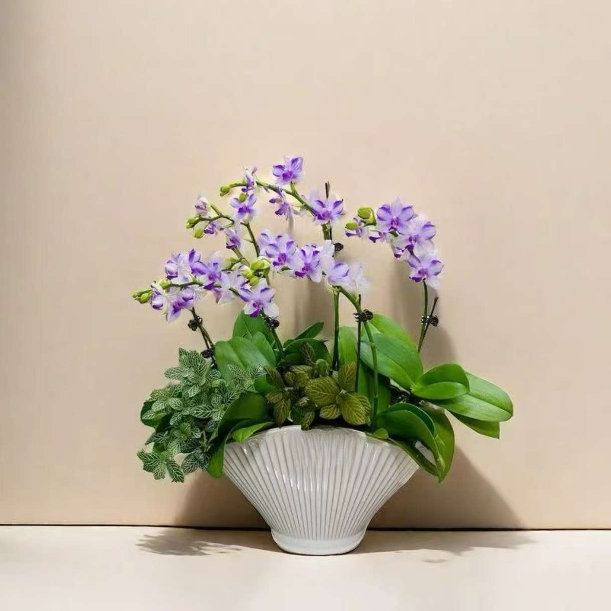 Exquisite ceramic flower POTS, handicrafts, ornaments, unique designs, gifts, decorative items, aesthetic home furnishings, ceramic handicrafts, giveaways