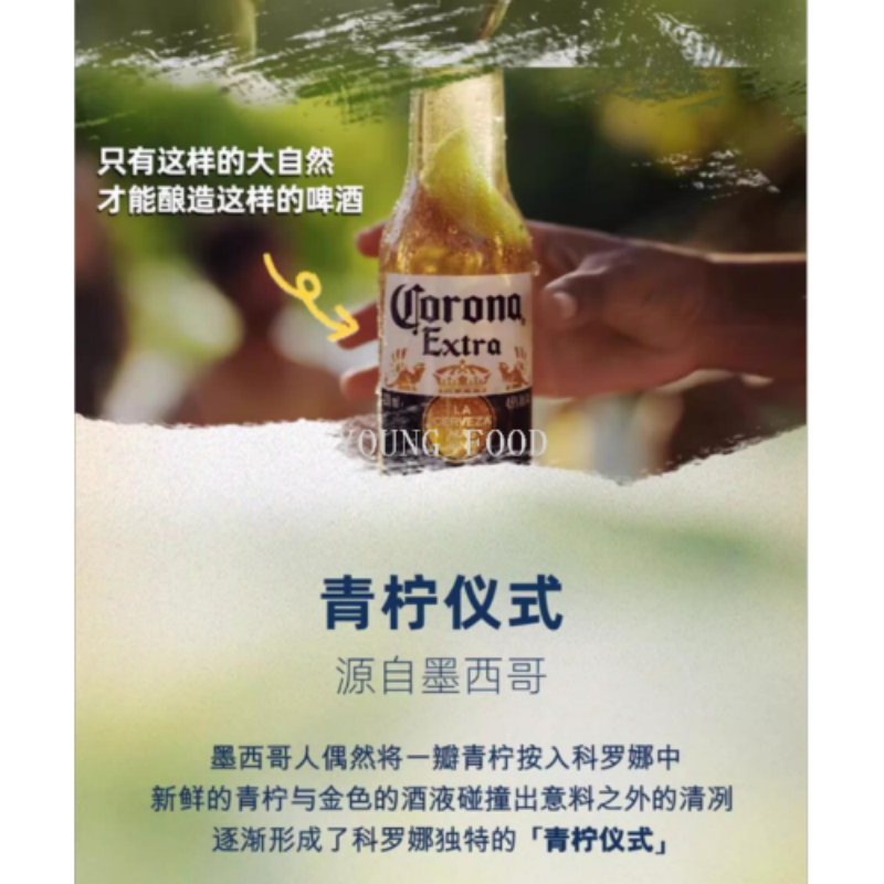 啤酒/磨砂米酒瓶子/科罗娜/酒类/日本白底实物图