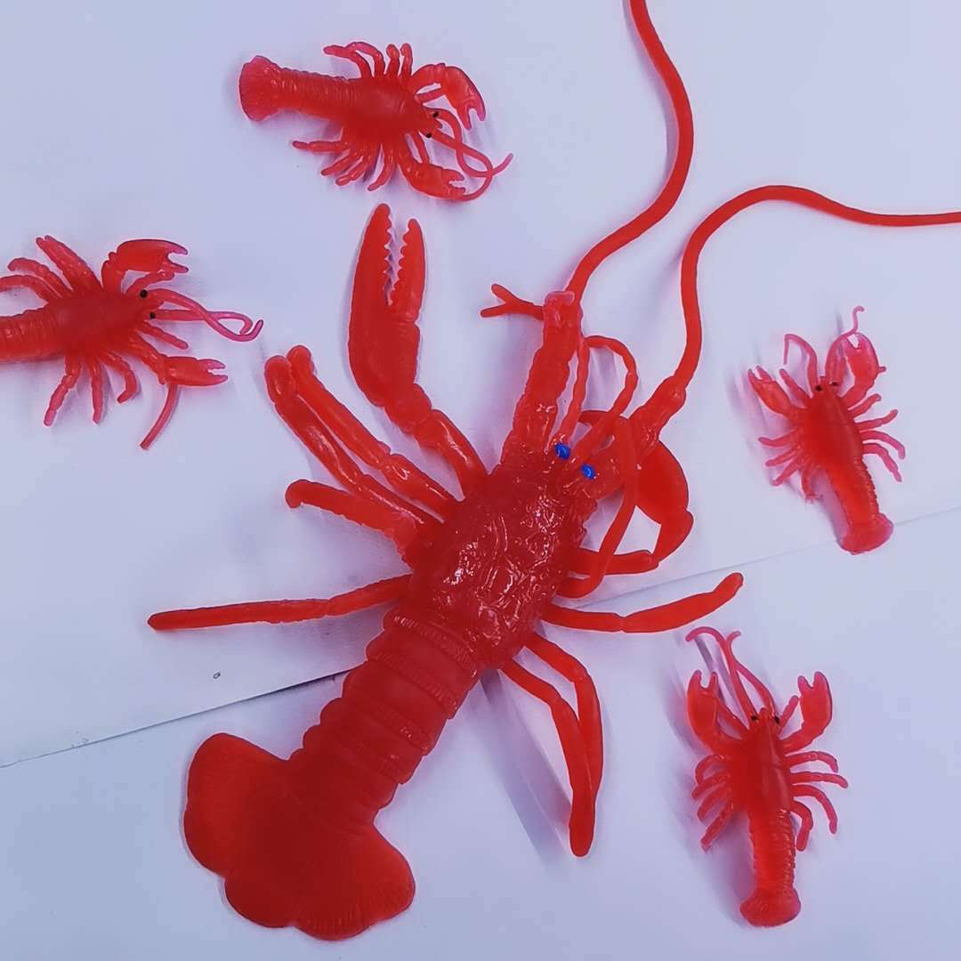 动植物/仿真模型实物图