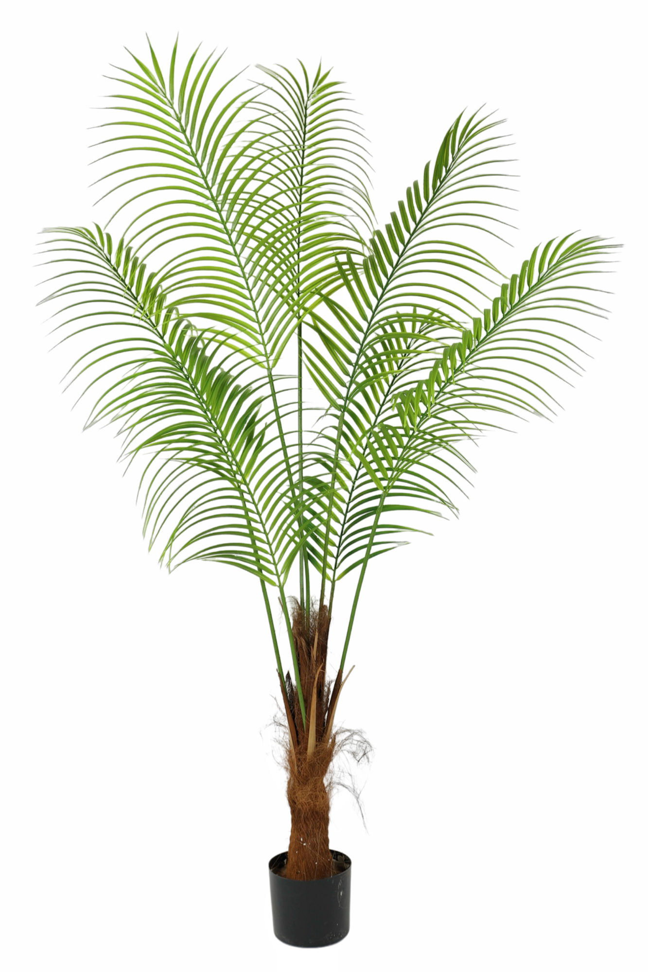 坊真木棍珊栏/仿真树/玫瑰花仿真草坪/树枝/仿真苔藓白底实物图