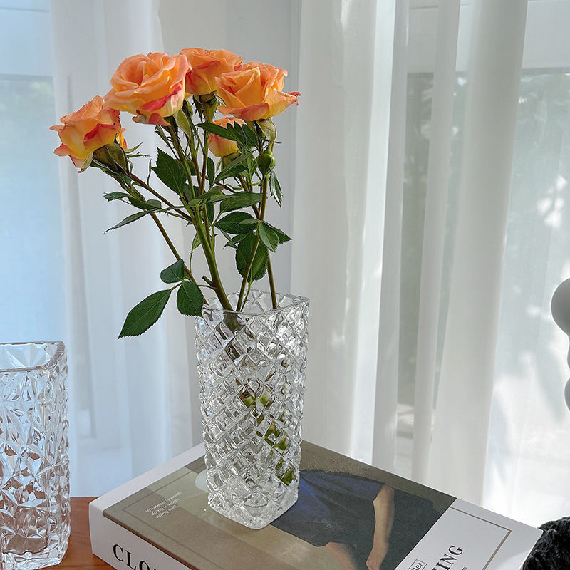 ins retro-style vase ornaments, living room flower arrangements, Nordic creative crystal transparent glass bottles, hydroponic decorations Specification image