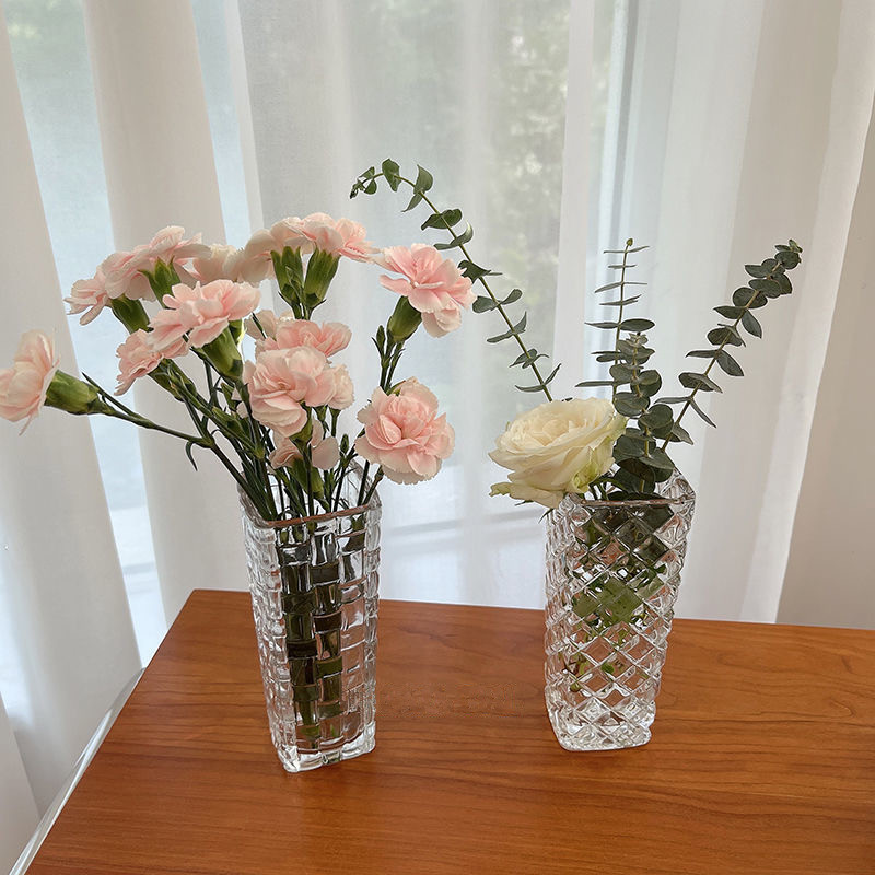ins retro-style vase ornaments, living room flower arrangements, Nordic creative crystal transparent glass bottles, hydroponic decorations details Picture