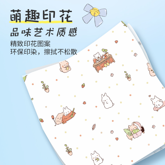 家清品牌个护纸品系列 一次性湿纸巾 纸巾湿巾二合一 酒精湿纸巾 温和清洁 护肤卫生巾 快速吸收不刺激详情2