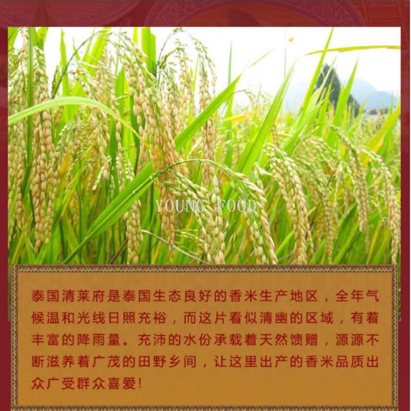 大米白底实物图