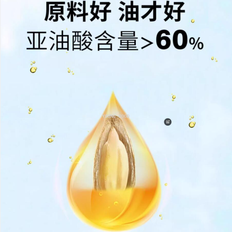 大豆油批发/粮油调味细节图