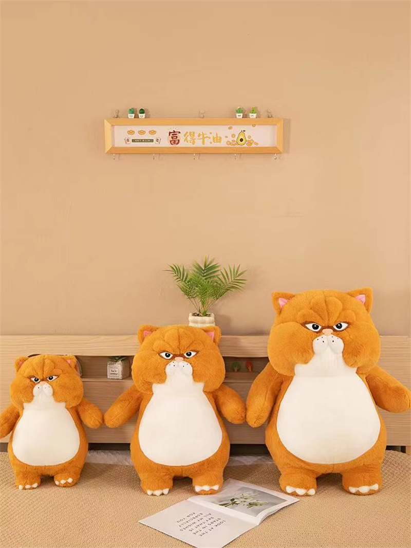 Toys, plush toys, doll factory direct delivery, doll toys, Angry cat doll factory direct delivery Specification image