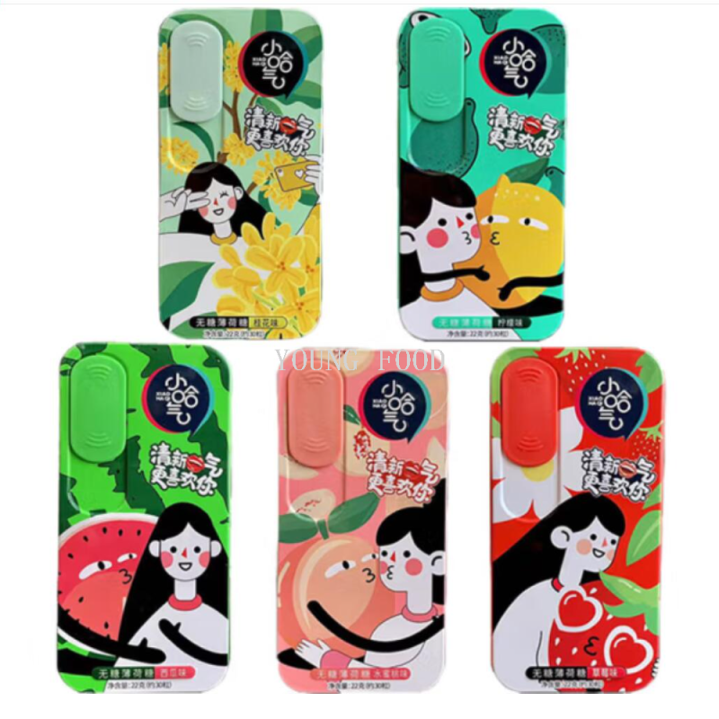 包邮！NAT&FROM口香糖清新口气小哈气无蔗糖水果花香味22g