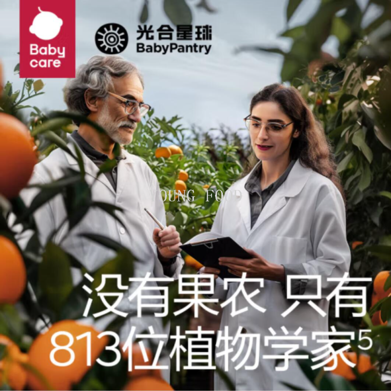 其他婴幼儿辅食实物图