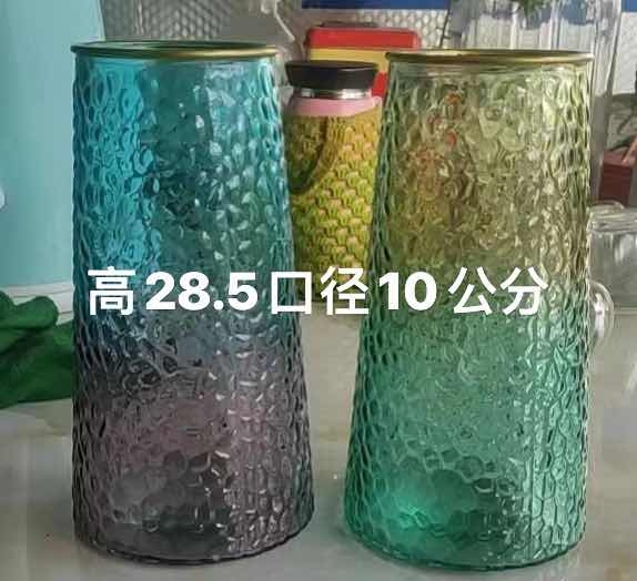 30大号简约创意透明玻璃花瓶桌面水养玫瑰鲜花瓶北欧ins风客厅插花摆件