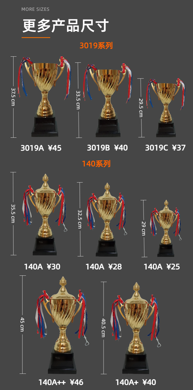 高档金属创意奖杯定制定做公司优秀团队颁奖年会纪念奖杯刻字制作 工厂量大价优 佳恒奖杯详情4