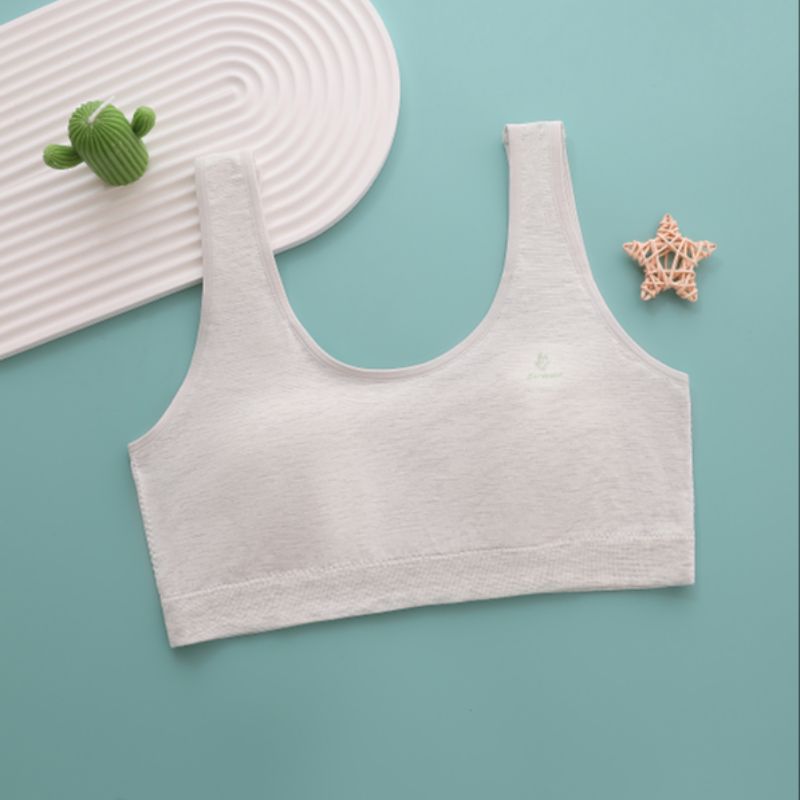 Girls' bra: Seamless, high-elasticity, sweet rabbit ears, fixed cup underwear, no steel rings, thin pullover, anti-protruding point vest Application Scenario